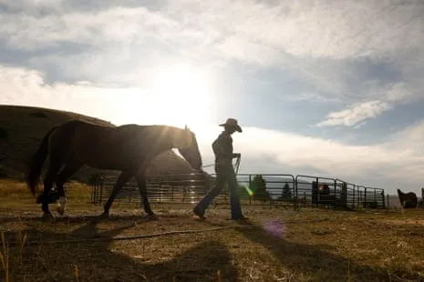Meet the US Cowgirls Reshaping Contemporary Farm Life